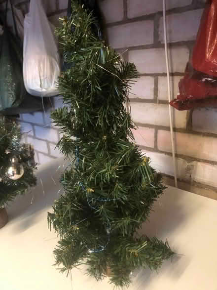 Photo of free Two small Christmas trees (Sutton Farm SY2) #2