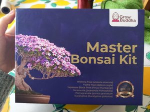 Photo of free Grow your own bonsai kit (Cheshunt EN8)