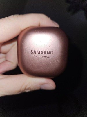 Photo of Samsung Galaxy Buds Charging Case (Liverpool L17)