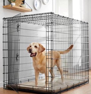 Photo of 42” Dog Crate (Rockville)