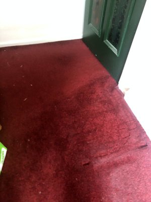 Photo of free large carpet (Chorlton M21)