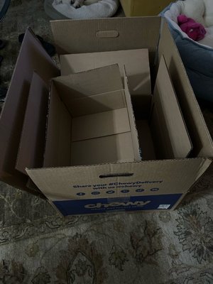 Photo of free Boxes for moving & packing paper (Bryn Mawr PA)