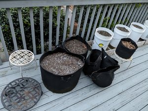 Photo of free Container gardening supplies (Conover)