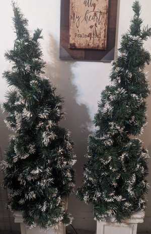 Photo of free Decorative little trees (Dc)