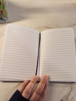 Photo of free Notebook (near Central Park)