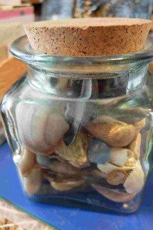 Photo of free Glass jar full of shells.... (Harrogate HG1)