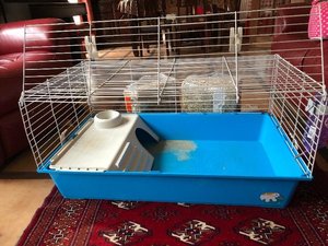 Photo of free Guinea pig/rabbit indoor cage (Livingston EH54)