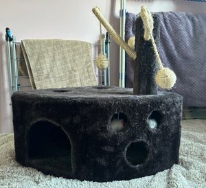 Photo of free Cat activity and hideaway centre (Whitton TW2)