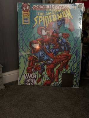 Photo of free Large spider man canvas (WS6)