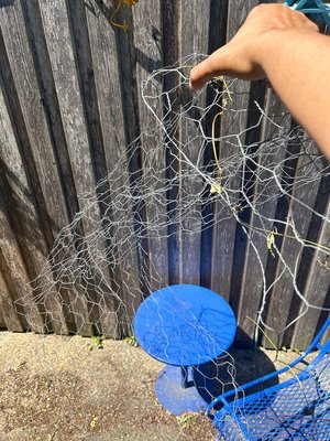 Photo of free Chicken coop netting (Petworth)