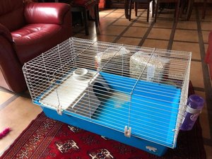 Photo of free Guinea pig/rabbit indoor cage (Livingston EH54)