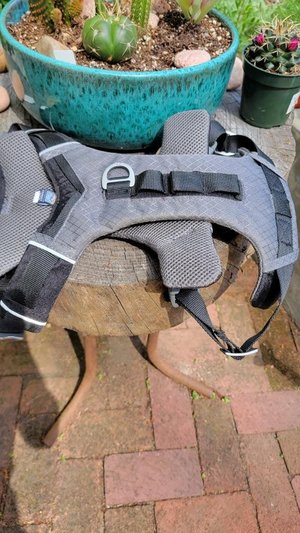Photo of free Kurgo Dog harness (L) (Berkeley hills)