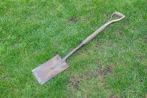 Photo of Spade/border spade (Florence Park OX4)