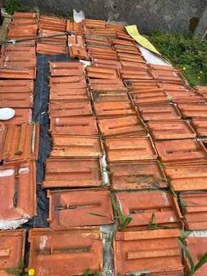 Photo of free Clay corrugated roof tiles (TR14)