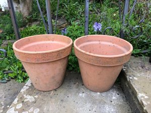 Photo of free Terracotta pots (Hastings TN35)