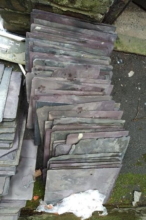 Photo of free Roof slates (Walkley S6)