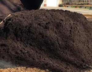 Photo of free mulch and dirt (Irvington NJ)