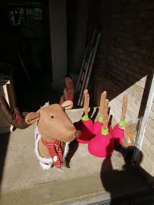 Photo of free Big reindeer (Stannington, Sheffield S6)
