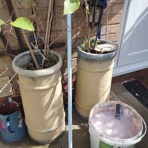 Photo of free plants in pots/free plant pots (CV6)