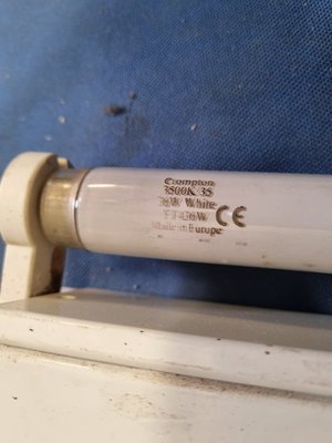 Photo of free Flourescent tube light (CM2 springfield, chelmsford)