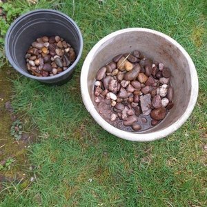 Photo of free Garden stones, medium size (ST17 Baswich, Stafford)