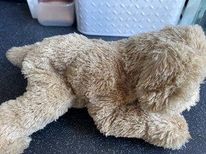 Photo of free Small furry dog (stuffed toy) (Ashford TW15)