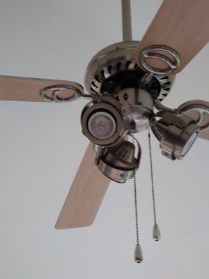 Photo of free ceiling light and fan (Kettering NN15)