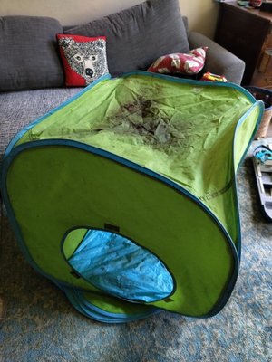 Photo of free 2 X Kids pop up playhouse/tent (Southside EH8)