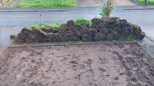 Photo of free Approx 200ft² of turf (Walton ST15)
