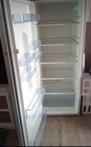 Photo of free Tall fridge (The Ronkswood WR5)