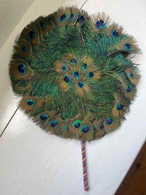 Photo of free Peacock feather fan (Broadward HR6)