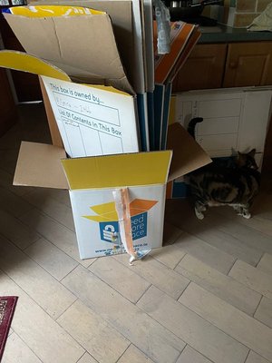 Photo of free Sturdy moving / storage boxes (Ballybough)