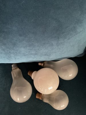 Photo of free Large lightbulbs (Rochford SS4)