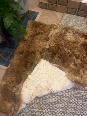 Photo of free Alpaca rug/ blanket (SW11)