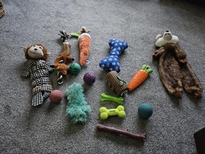 Photo of free Dog toys (Scarborough YO12)