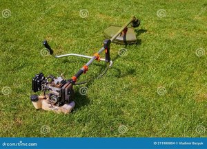 Photo of powered grass-trimmers (Wateridge Village)