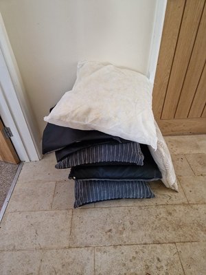 Photo of free 6 large cushion inserts (BA11)