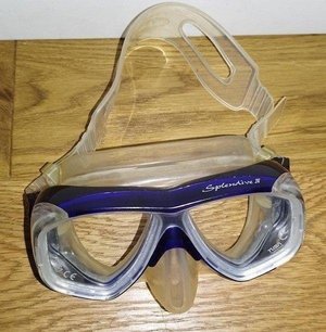 Photo of free Mask and snorkel (Kingsway Bath)