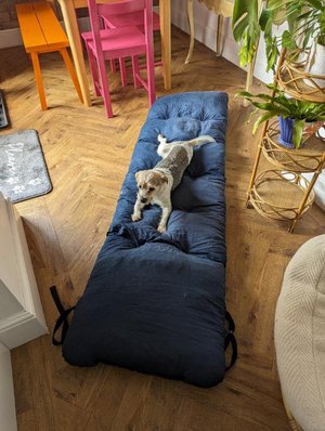 Photo of free Navy sun lounger cushion (S13, Woodhouse)