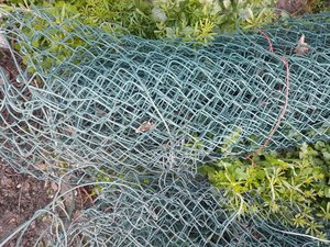 Photo of free Wire fencing (Burnham on Crouch)