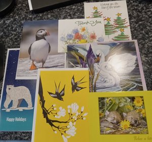 Photo of free greeting cards (Ogden Township)