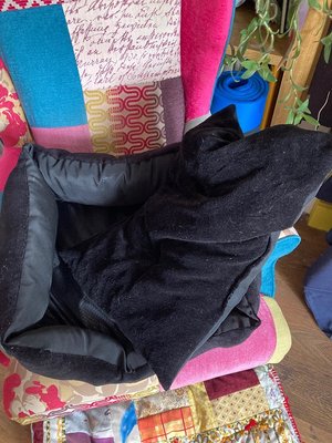 Photo of free Comfortable dog bed (Elson PO12)