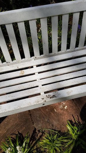 Photo of free Pretty garden bench. (GU51)