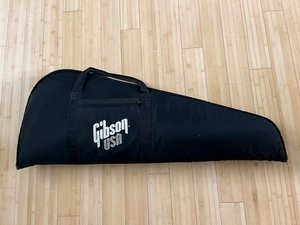 Photo of free Electric guitar carry case (Fair Lawn, NJ)