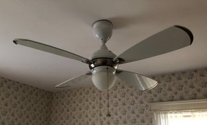 Photo of free Ceiling fan, used, 48” (Worcester 01602)