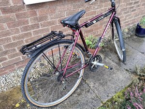 Photo of free Gent`s bike (Flax Moss)