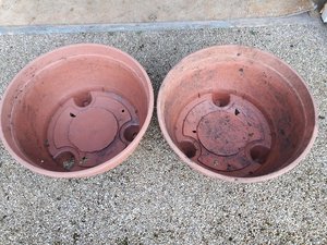 Photo of free Large Garden Planters (New Ferry CH62)