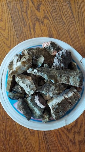 Photo of free Rocks (winchester)