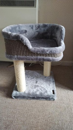 Photo of free Scratch post and cat bed (Frome BA11)