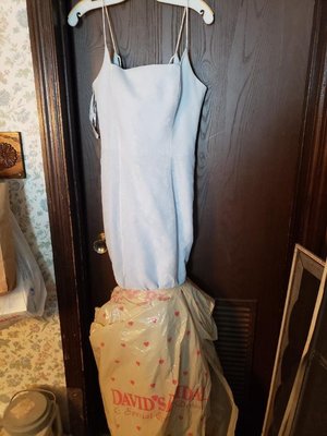 Photo of free Floor length gown /dress sz 9-10 (Downtown Bartlett)